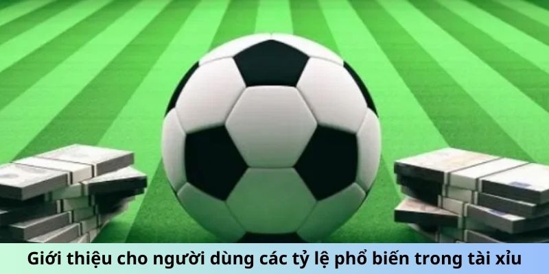 Giới thiệu cho người dùng các tỷ lệ phổ biến trong tài xỉu