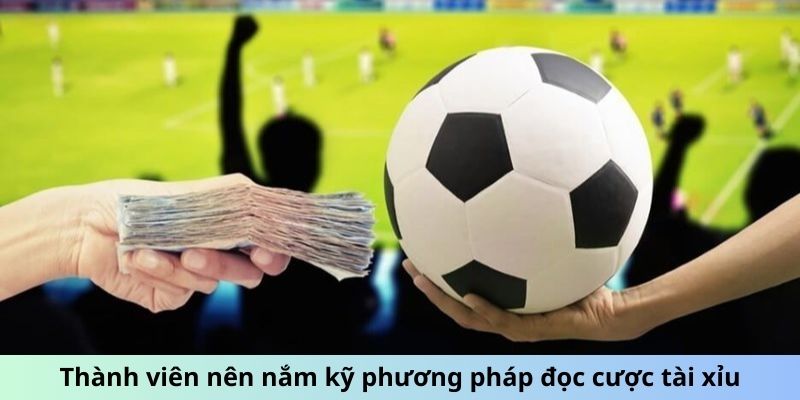 Thành viên nên nắm kỹ phương pháp đọc cược tài xỉu